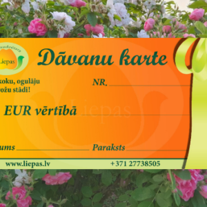 Dāvanu karte 15 EUR vērtībā