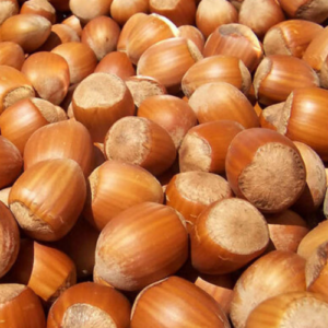 Hazelnut 'Halles Milzu'