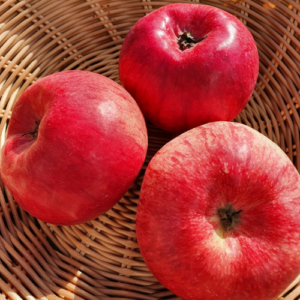 SA ābele 'Pervinka'