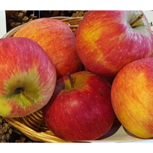 SA ābele 'Rubīns' (Kazahu)